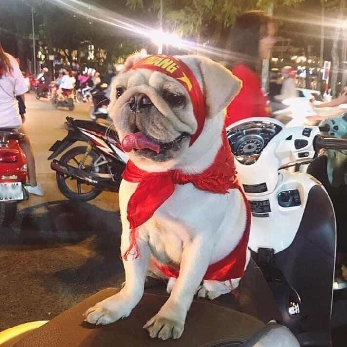 1001 cảnh đi bão 'có một không hai' của người Việt Nam: Khi Tôn Ngộ Không cũng 'cháy' cùng U23 Việt Nam